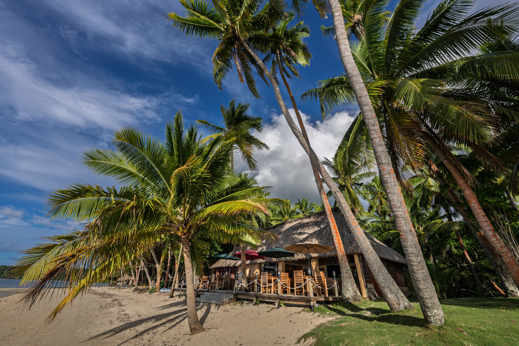 Papageno Resort Background